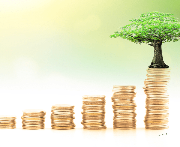 Stacked coins with a tree growing out of largest stack