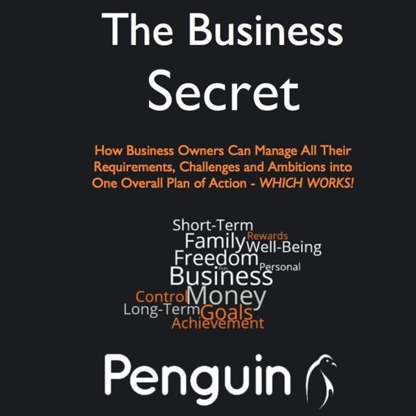 The Business Secret - How business owners can manage all their requirements, challenges and ambitions into one overall plan of action - WHICH WORKS!