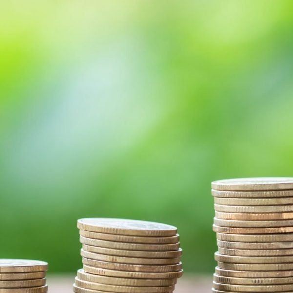 Stacks of coins